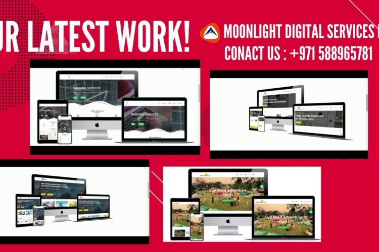 website development- moonlight digital services work