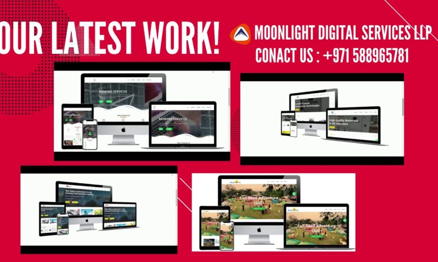 website development- moonlight digital services work