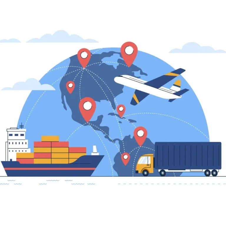 Import and Export Website Development